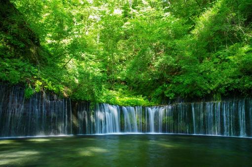 白糸の滝の流れ