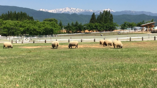 牧歌の里