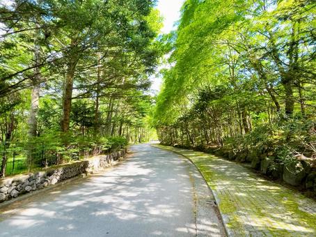 軽井沢の高原リゾートの風景
