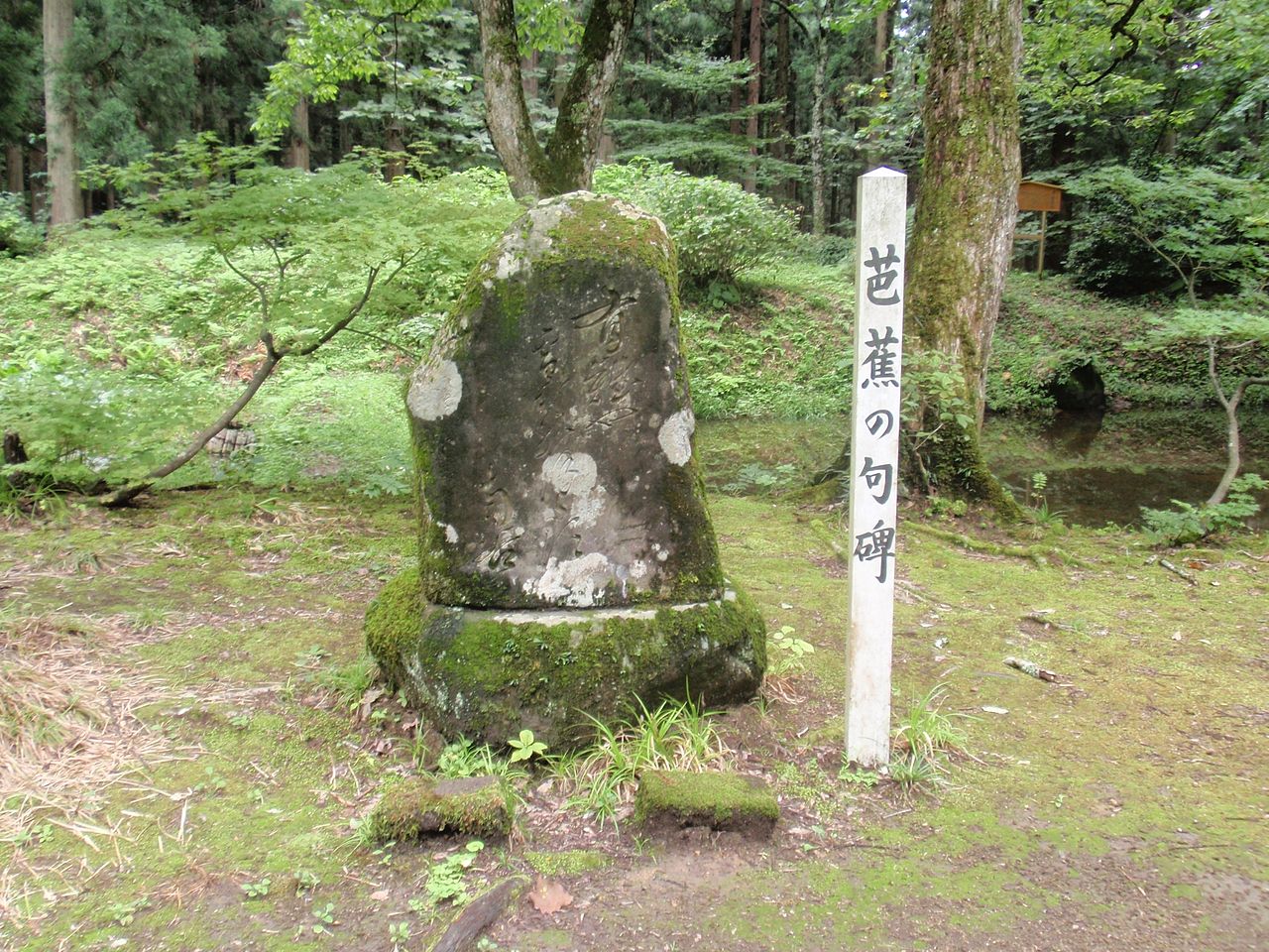 出羽三山 羽黒山の風景