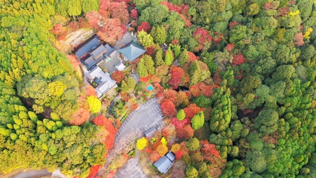 両子寺の全景