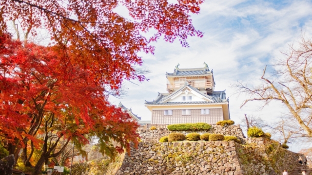 越前大野城の紅葉